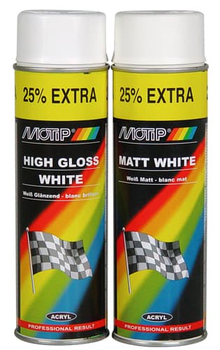 MOTIP RALLYE WIT MAT 500ML (1ST)